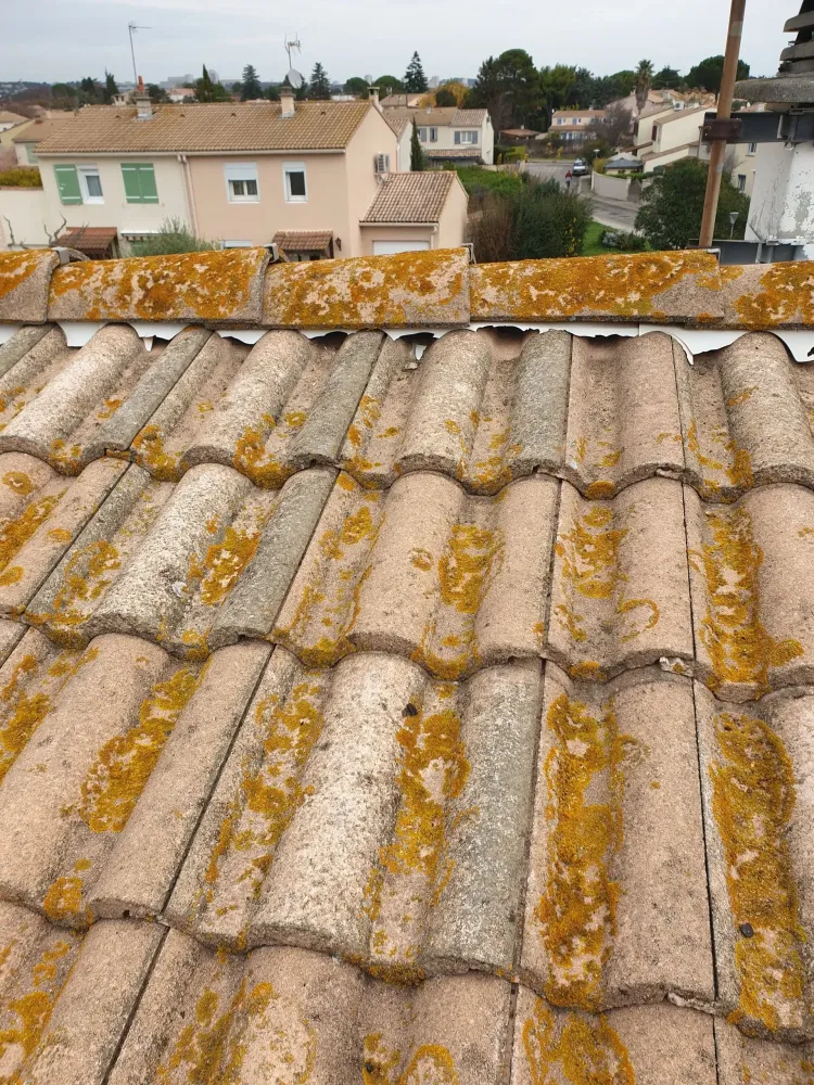 couverture de toiture (35)