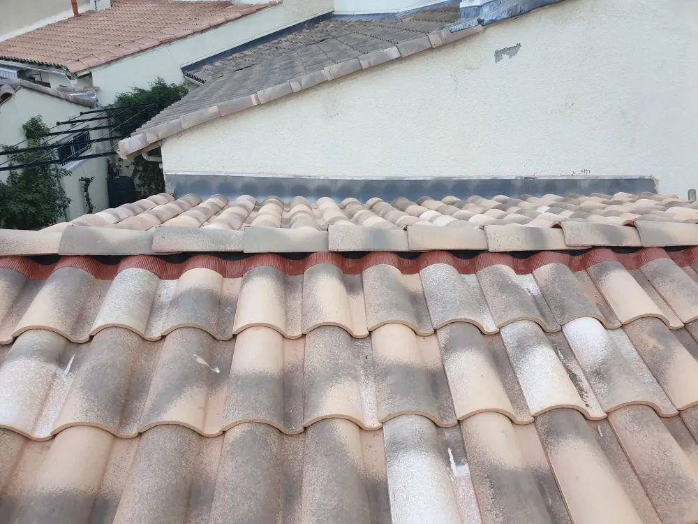 couverture de toiture (44)